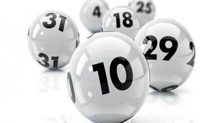 Khám Phá Thế Giới Gà Chọi C1: Đá Gà Trực Tiếp và Những Điều Cần Biết